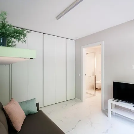 Apartment Grey Studio 9 - Locarno Centro